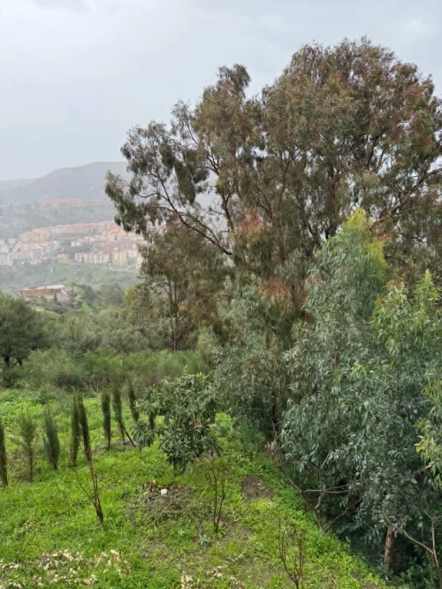 Location vacances Villa Tizi Ouzou Azeffoun