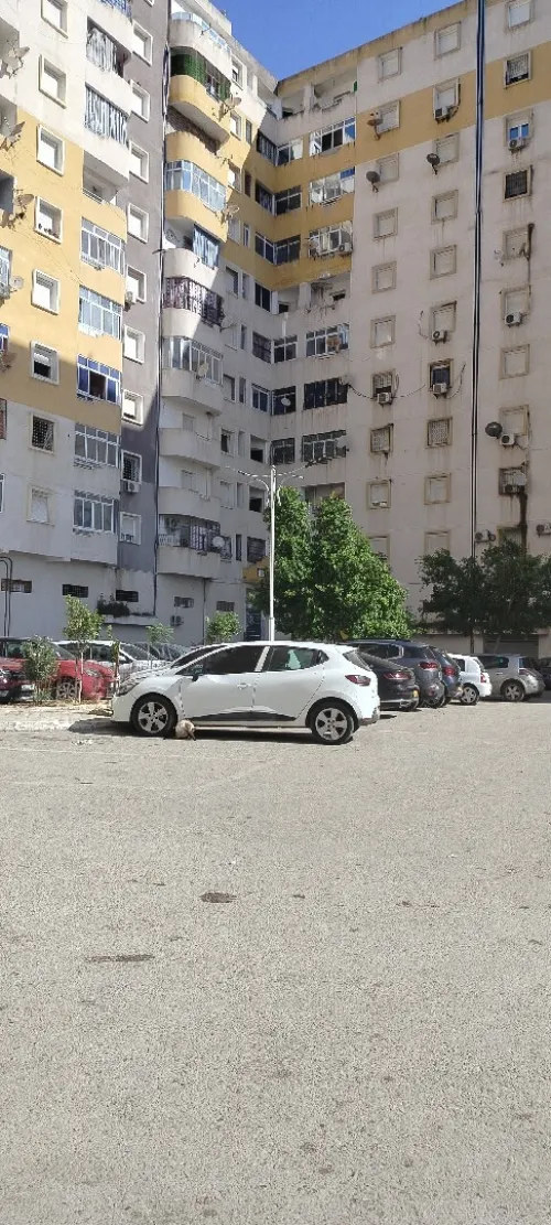 Location Appartement F3 Annaba Barrahel