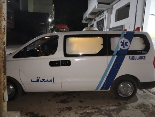 Hyundai H1 2009