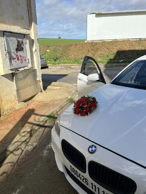 BMW Série 5 2011 Série 5