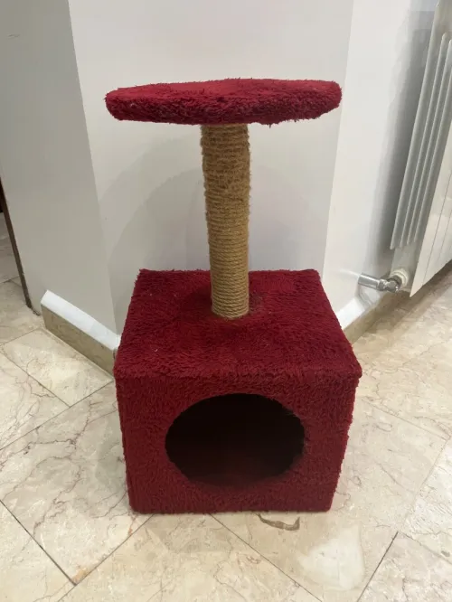 Grattoir à chats 
