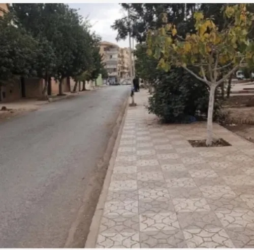 Location Local Sidi Bel Abbès Sidi bel abbes