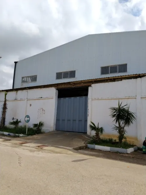 Vente Hangar - Usine Alger Birtouta
