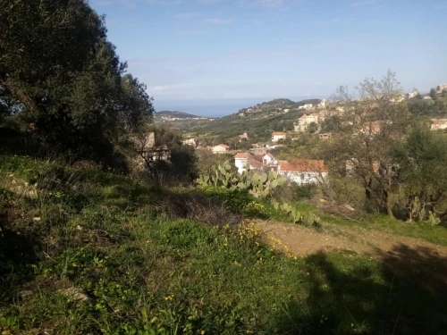 Vente Terrain Tizi Ouzou Iflissen