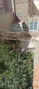 Vente Villa Tlemcen Tlemcen