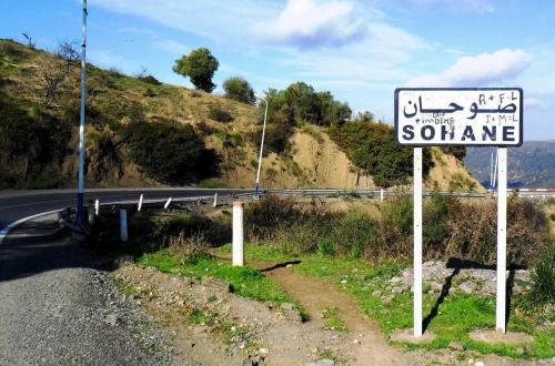 Vente Terrain Agricole Blida Souhane