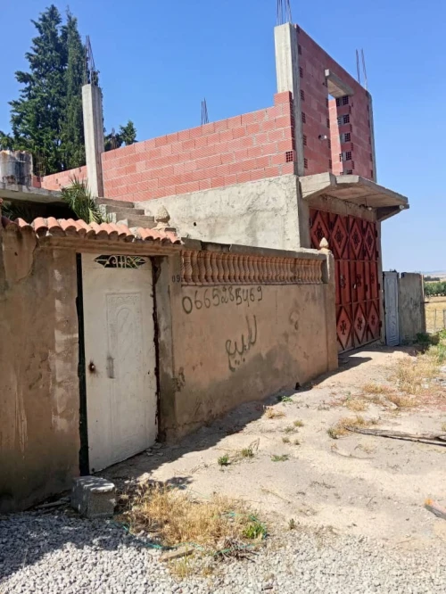 Vente Villa Guelma Tamlouka
