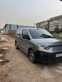 Fiat Doblo Tole 2024 