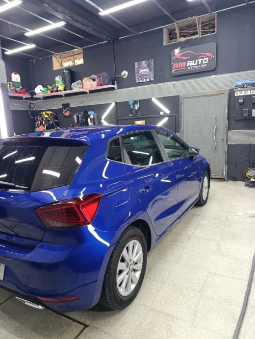 Seat Ibiza 2019 Sater plus