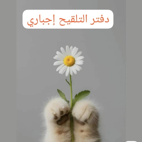 Garderie de chats 