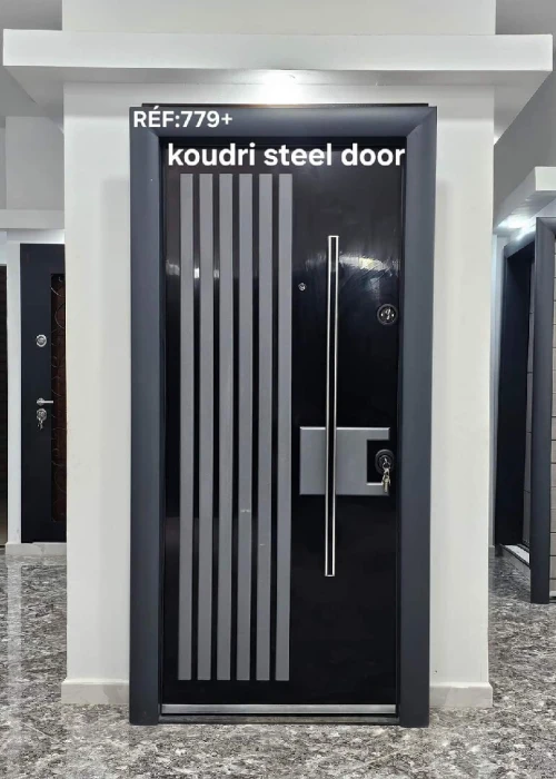 Porte extérieur AADL LPA LPP LSP SOCIAL VILLA 