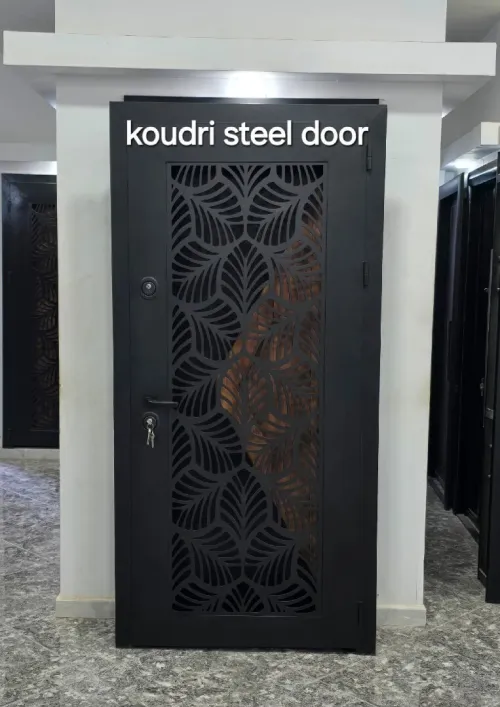 Koudri steel door 