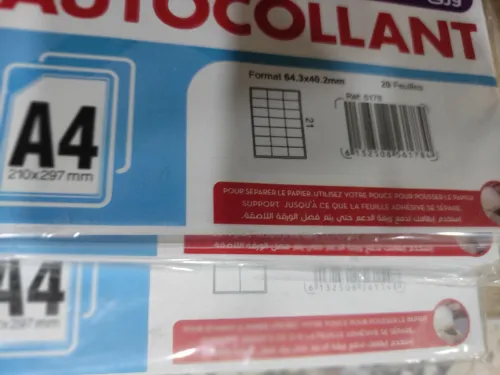 Papet autocollant A4 /différents motifs
