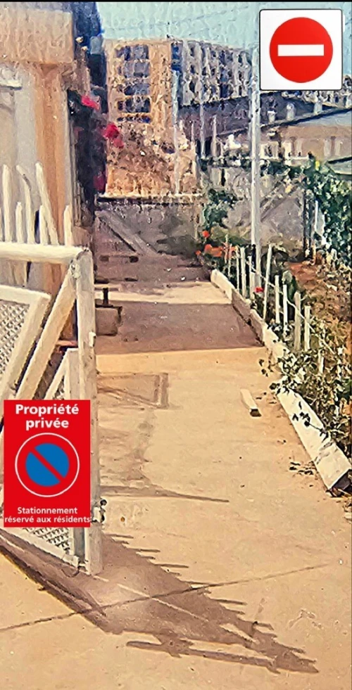 Vente Terrain Alger Zeralda