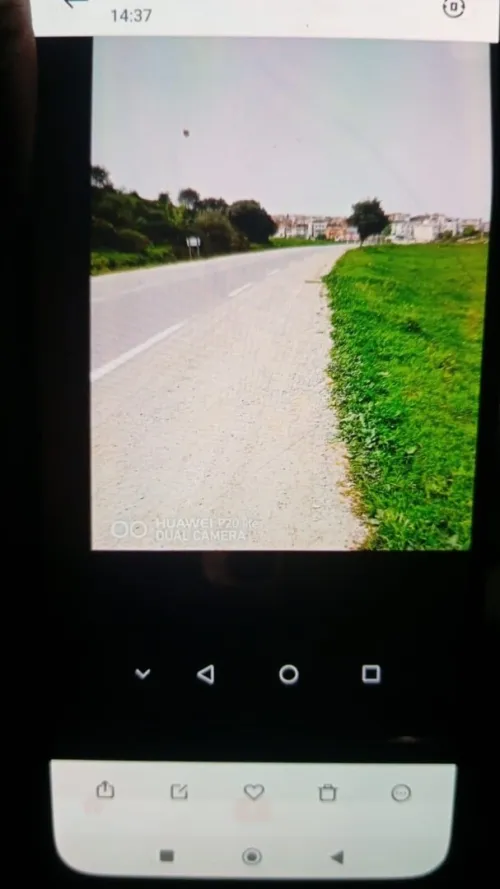 Vente Terrain Skikda Bouchtata