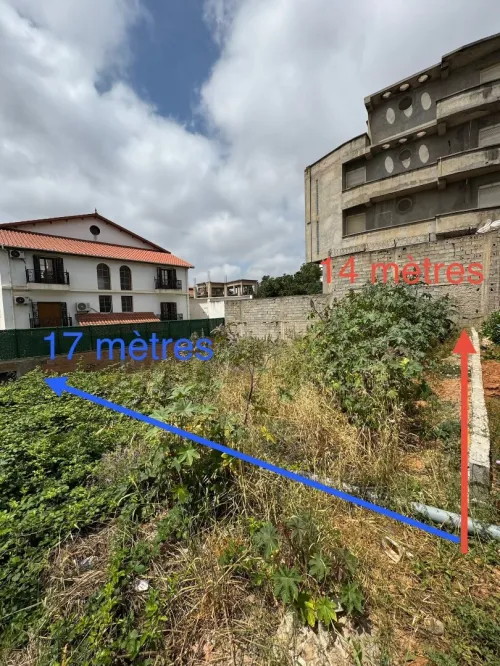 Vente Terrain Alger Birkhadem