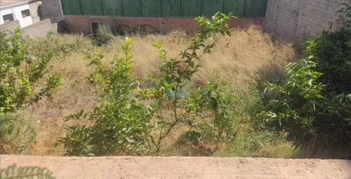Vente Terrain Alger Birkhadem