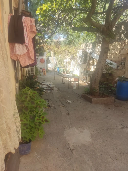 Vente Terrain Alger Les eucalyptus