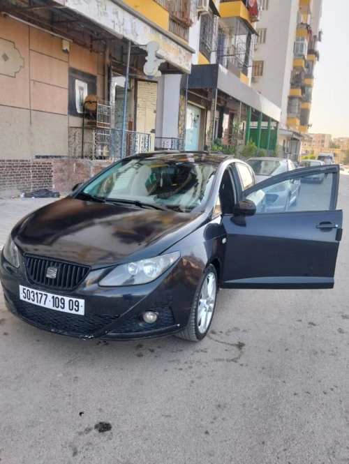 Seat Ibiza 2009 Loca