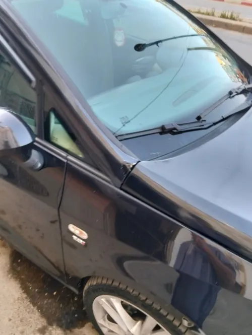 Seat Ibiza 2009 Loca
