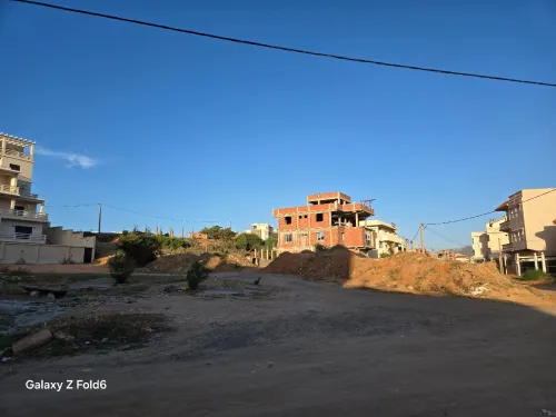 Vente Terrain Skikda Filfla