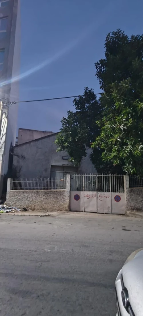 Vente Hangar Skikda Azzaba