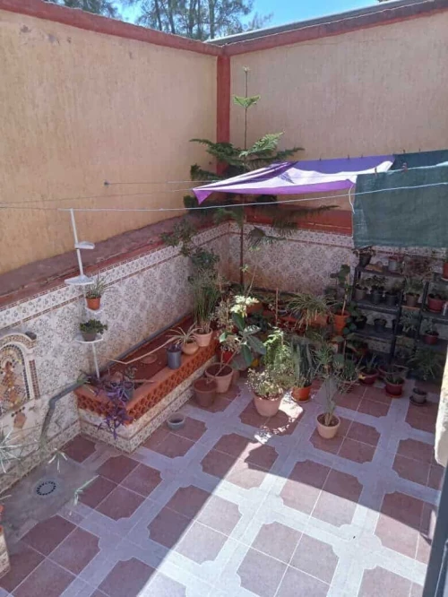 Vente Villa Oran Es senia