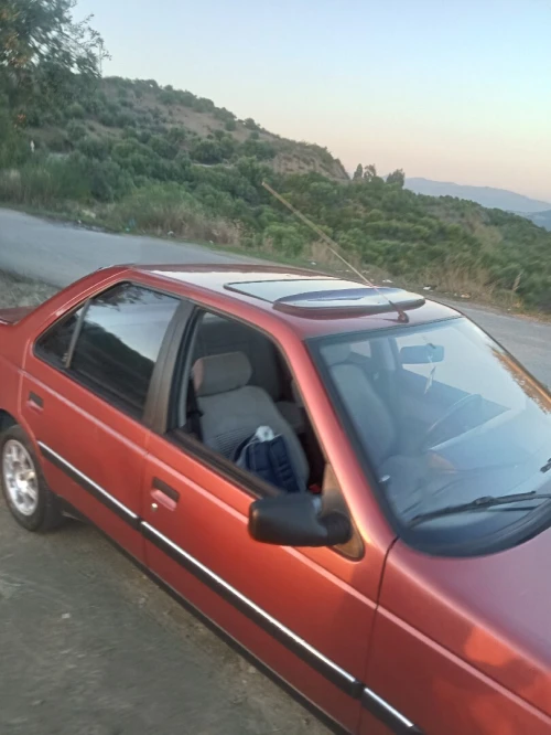 Peugeot 405 1988 405