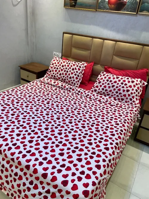 Location Appartement F3 Oran Bir el djir
