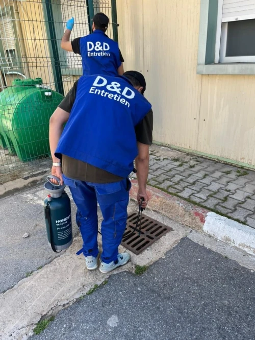 D&D ENTRETIEN DÉRATISATION & DÉSINSECTISATION