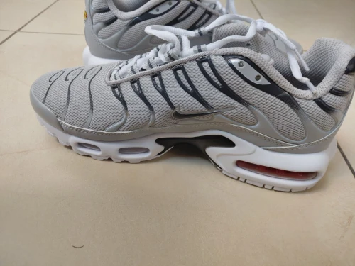 baskets Nike Air Max Plus TN de couleur gris loup