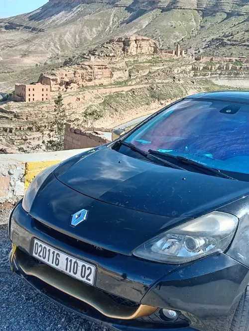 Renault Clio 3 2010 Clio 3 rs