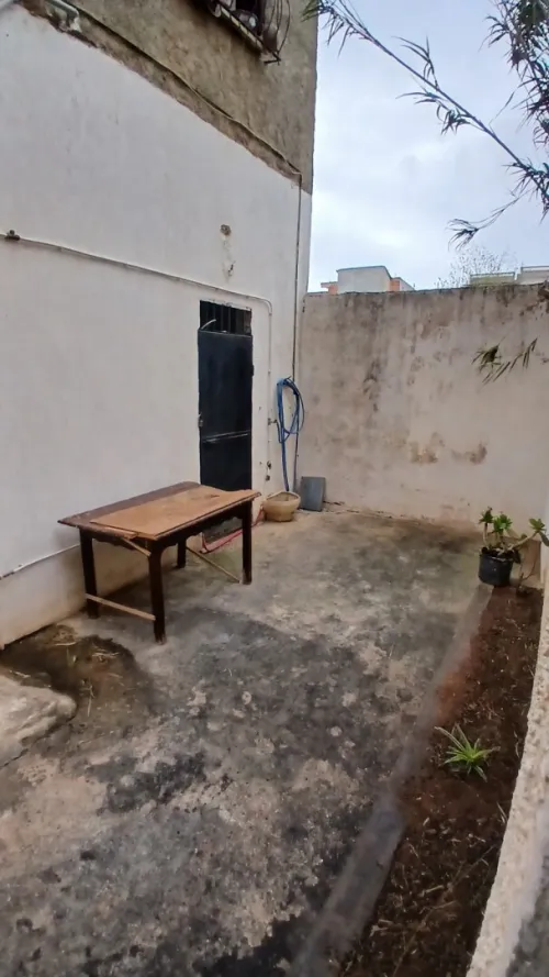 Location Local Tipaza Kolea