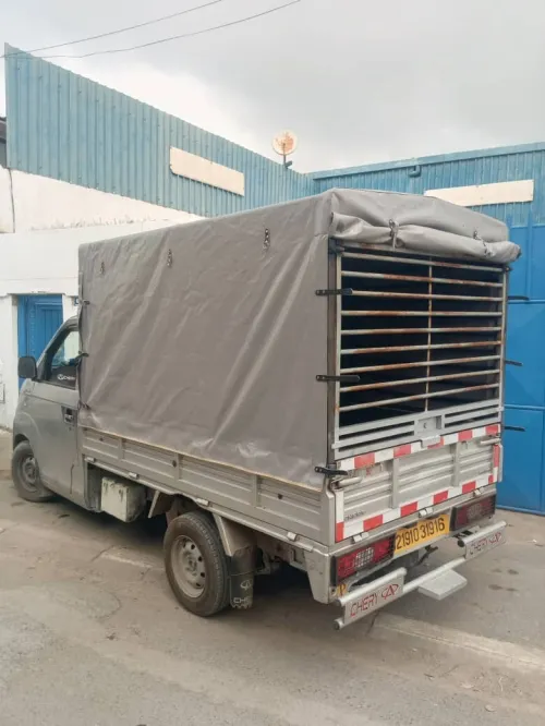Chery yoki 2019