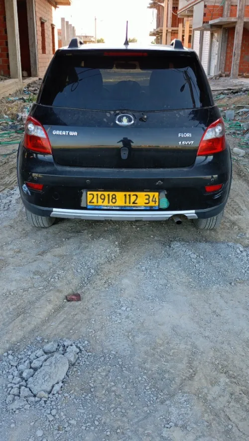 Great Wall Florid 2012 Cross