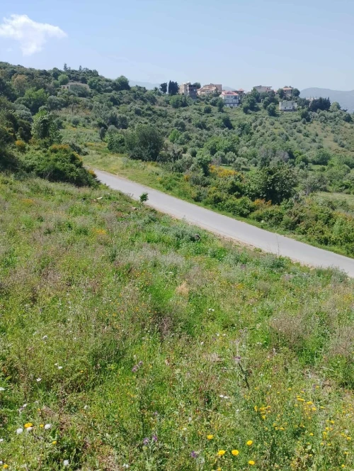Vente Terrain Tizi Ouzou Ait chaffaa