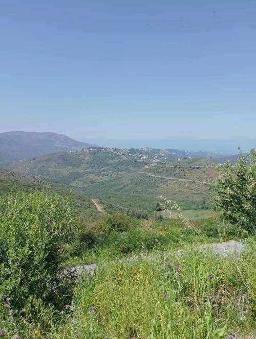Vente Terrain Tizi Ouzou Ait chaffaa