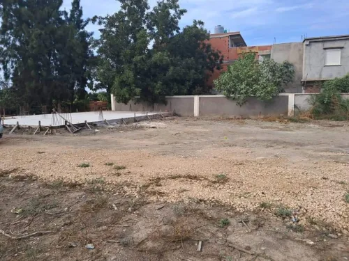 Vente Terrain Blida Ben khellil