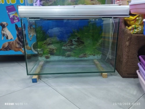 Fabrication d'aquarium sur mesure 