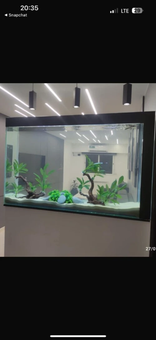 Aquarium sur mesure chez AQUA DZ