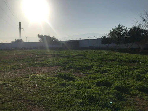 Location Terrain Blida Blida