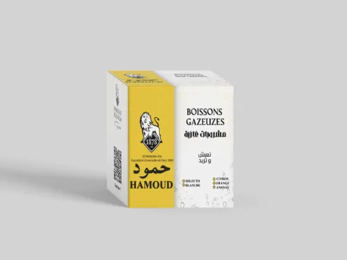 Conception D'identités visuelles et supports publicitaires- تصميم هويتك البصرية بكل احترافية