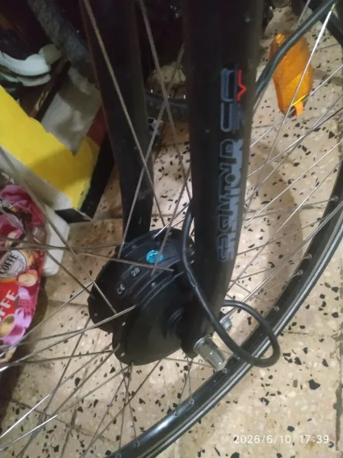 Gitane électrique