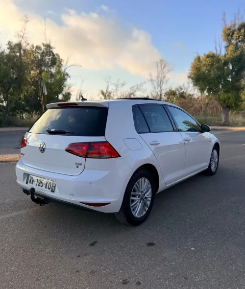 Volkswagen Golf 7 2014 Cup