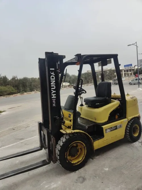 Hyundai Clark 2013