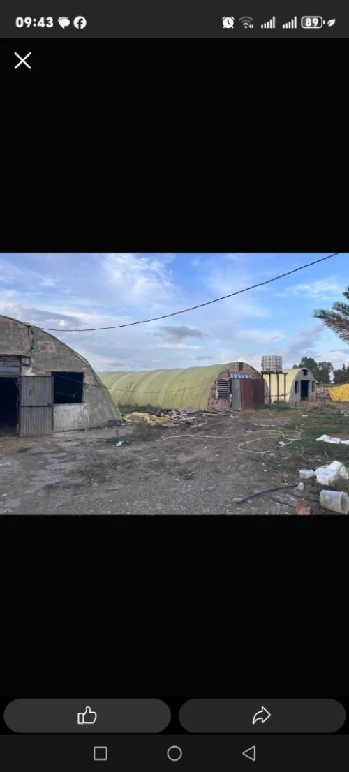 Location Hangar - Usine Blida Mouzaia