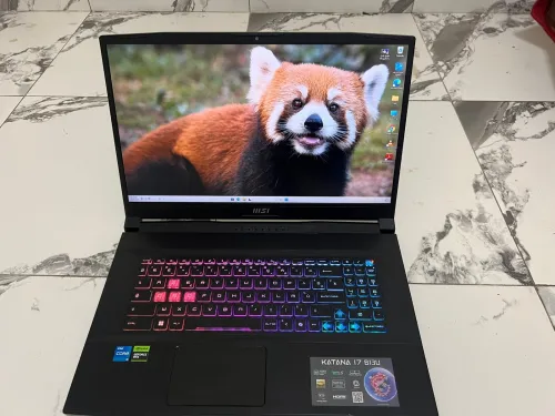 Msi katana 17 B13