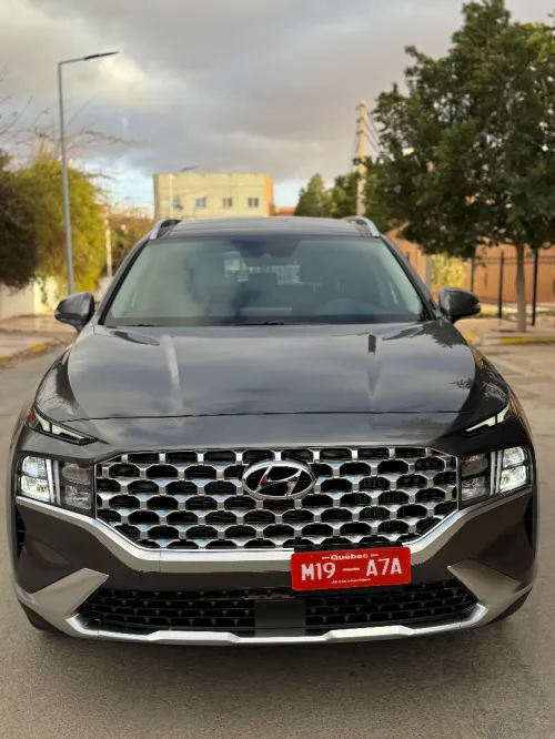 Hyundai Santafe santa fe 2024 H trac