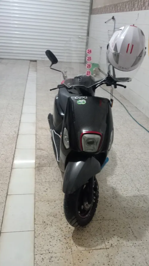 Cocxi 2 2024