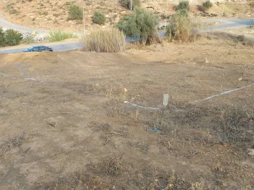 Vente Terrain Tlemcen Chetouane